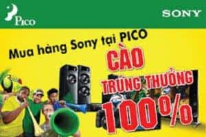Mẫu thẻ cào trúng thưởng