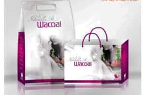 Báo giá in túi giấy