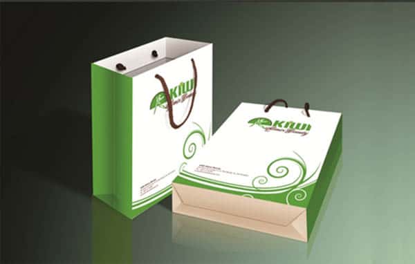 in túi giấy tại Quảng Ngãi